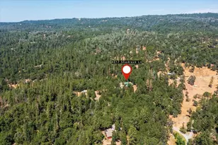 4017 Shadrack Ln, Greenwood, CA 95635 - Photo 44