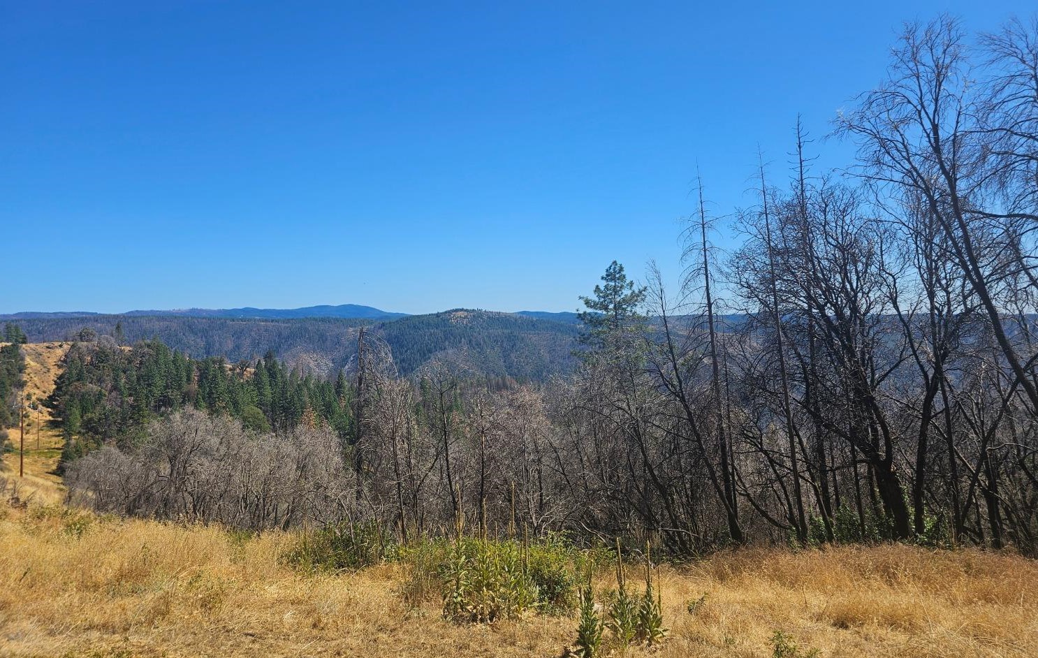 23920 Foresthill Rd, Michigan Bluff, CA 95631