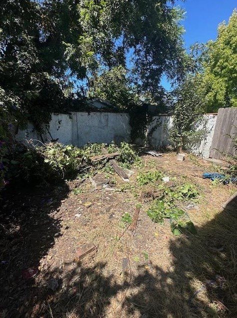 1464 Curtis, Berkeley, CA 94702