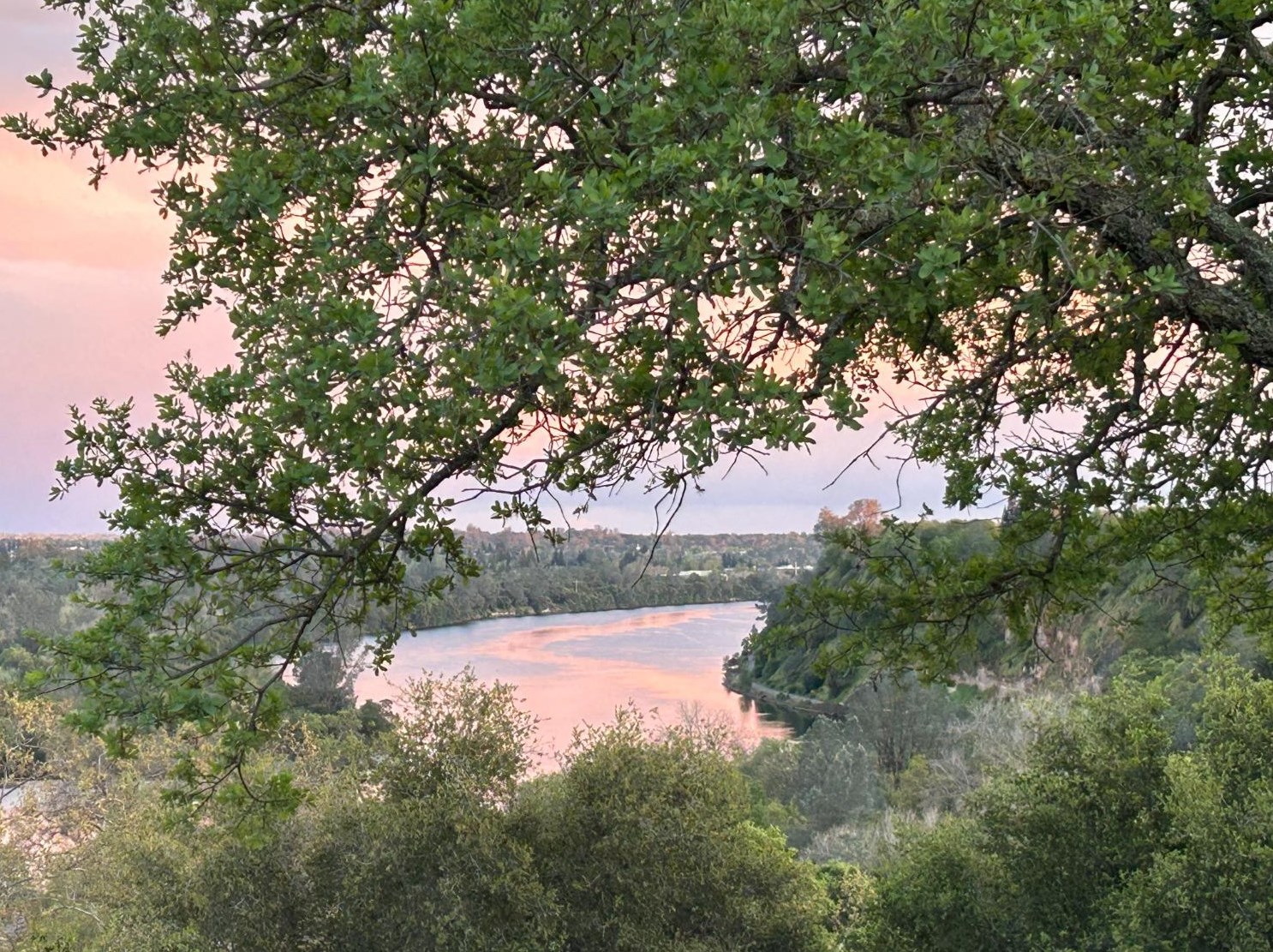 162 Winding Canyon Ln, Folsom, CA 95630