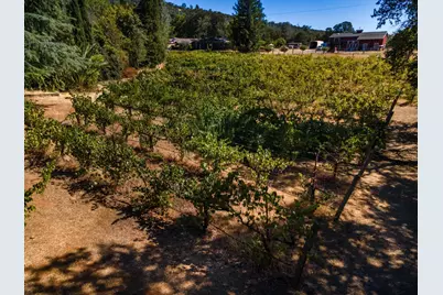 1000 Aqua Haven Court, El Dorado Hills, CA 95762 - Photo 44