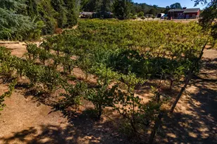 1000 Aqua Haven Ct, El Dorado Hills, CA 95762 - Photo 44