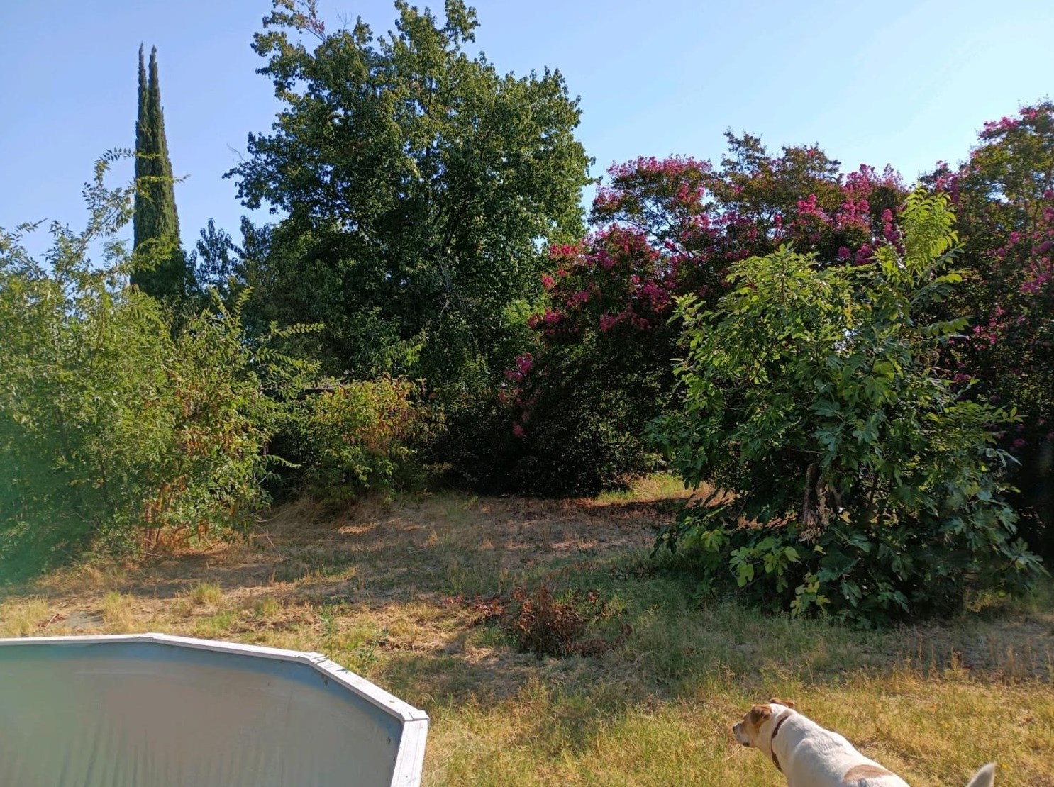 1024 Arbutus Ave, Chico, CA 95926