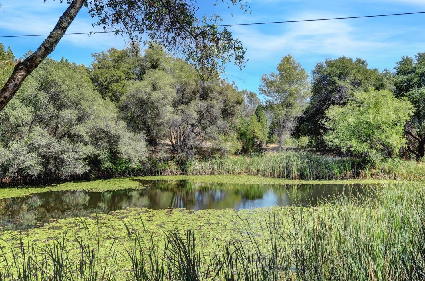 10213 Tyler Foote Rd, Cherokee, CA 95959