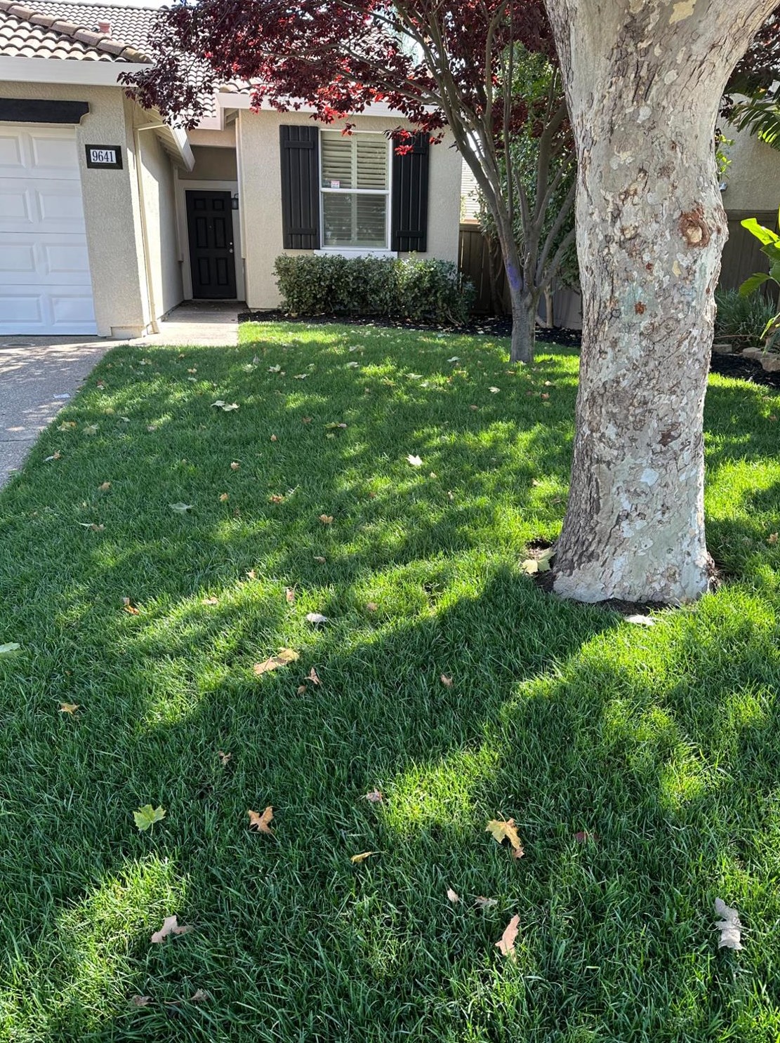 9641 Mckenna Dr, Elk Grove, CA 95757
