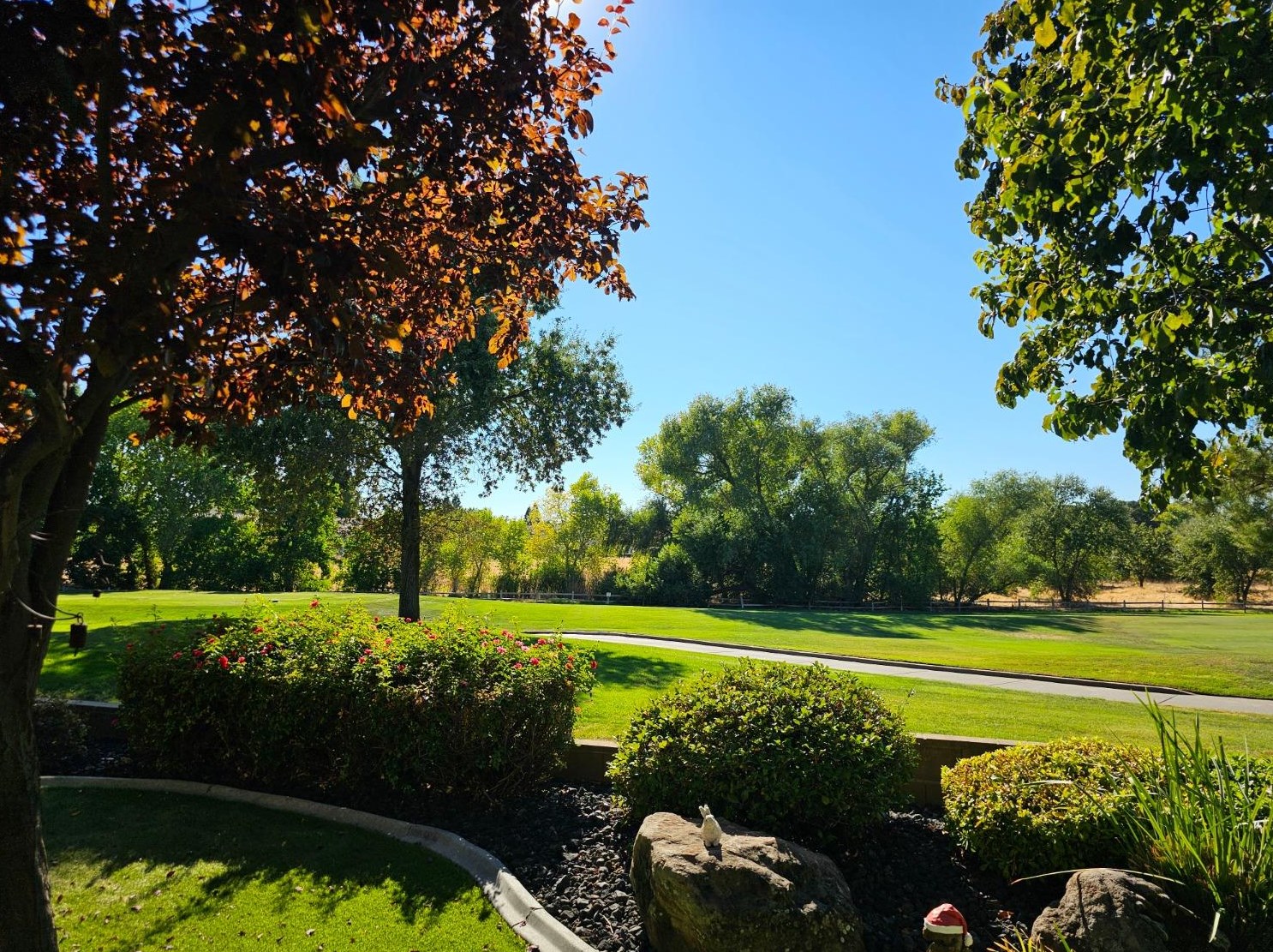 7517 Timberrose Way, Roseville, CA 95747-8335