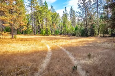 9030 Smith Station Road, Groveland, CA 95321 - Photo 36