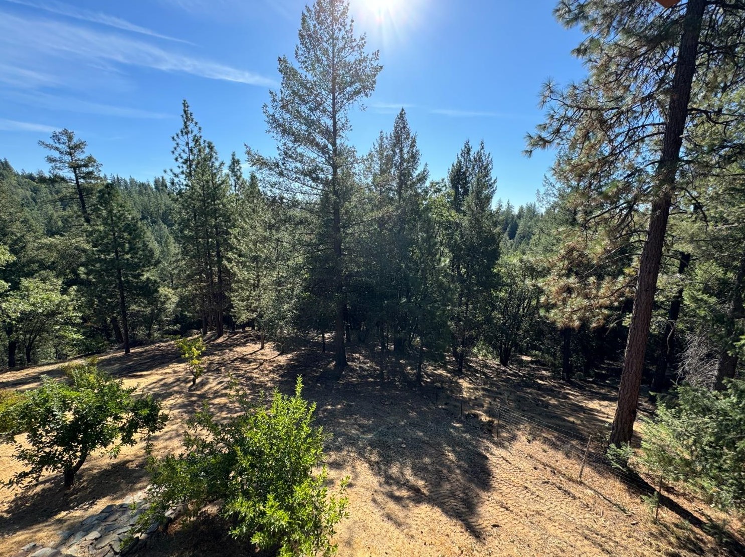 21348 Oakwood Ln, Michigan Bluff, CA 95631