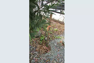 271 Duchess Drive, Copperopolis, CA 95228 - Photo 30