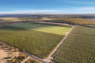 12750 E Live Oak Rd, Lodi, CA 95240 - Photo 4