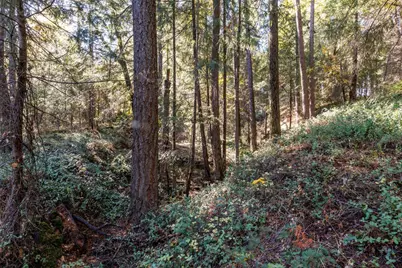 4293 Glory Hole Drive, Camino, CA 95709 - Photo 4