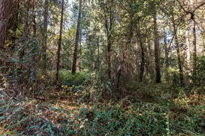 20 Glory Hole Drive, Camino, CA 95709 - Photo 4