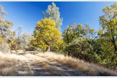 3551 Red Dog Drive, Camino, CA 95709 - Photo 4