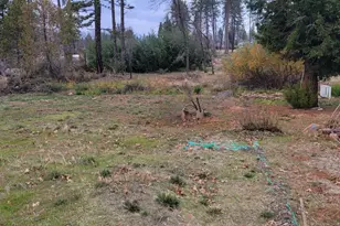 1223 Elliott Rd, Paradise, CA 95969 - Photo 1