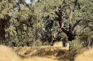 0 Cr 87, Winters, CA 95694 - Photo 6