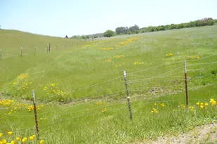 0 Cr 87, Winters, CA 95694 - Photo 4
