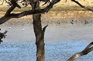 0 Cr 87, Winters, CA 95694 - Photo 10