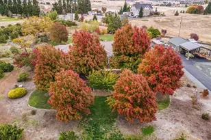 13751 Indio Dr, Sloughhouse, CA 95683 - Photo 74