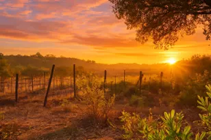 3000 Gravel Ct, Placerville, CA 95667 - Photo 1