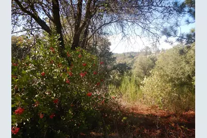 3000 Gravel Court, Placerville, CA 95667 - Photo 8