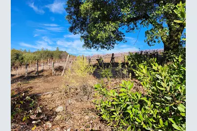 3000 Gravel Court, Placerville, CA 95667 - Photo 10