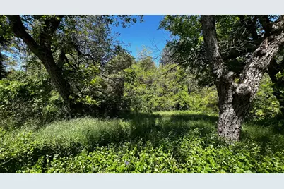 219 Smith Lane, West Point, CA 95255 - Photo 2
