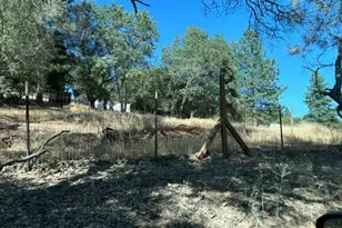 20045 Jesus Maria Rd, Mokelumne Hill, CA 95245 - Photo 10