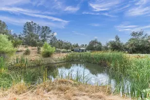 233 Pyshon Rd, Vallecito, CA 95251 - Photo 64