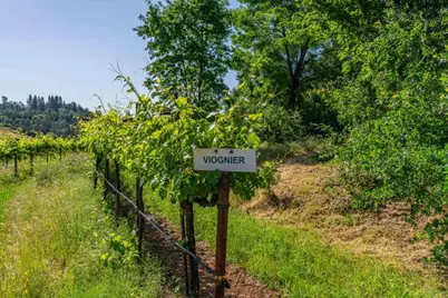 16915 Red Mule Road, Fiddletown, CA 95629 - Photo 48