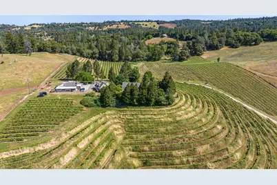 16915 Red Mule Road, Fiddletown, CA 95629 - Photo 54