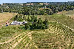 16915 Red Mule Rd, Fiddletown, CA 95629 - Photo 54