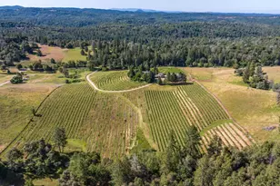 16915 Red Mule Rd, Fiddletown, CA 95629 - Photo 56