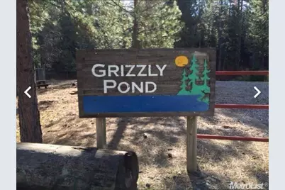 5055 Parkside Drive, Grizzly Flats, CA 95636 - Photo 1