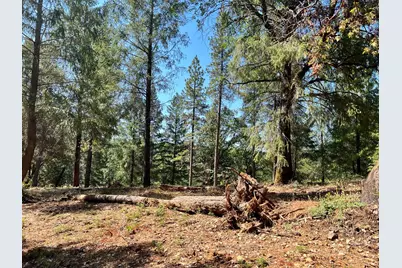 43 Bottle Hill Road, Georgetown, CA 95634 - Photo 2