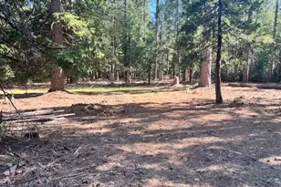 10434 Wentworth Springs Rd, Georgetown, CA 95634 - Photo 1