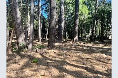 10434 Wentworth Springs Road, Georgetown, CA 95634 - Photo 6