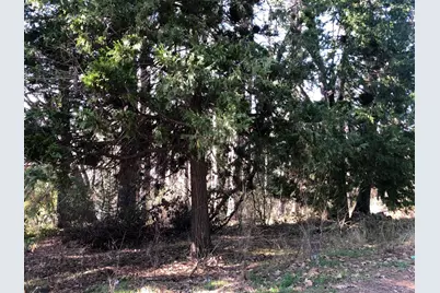 410 W Marshall Street, Grass Valley, CA 95945 - Photo 6