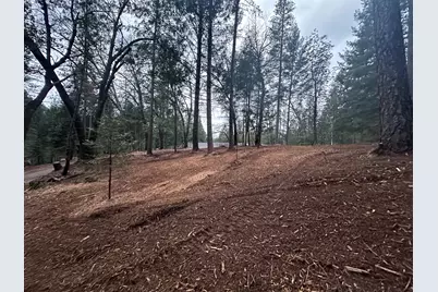 0 Oregon Trail Road, Georgetown, CA 95634 - Photo 6