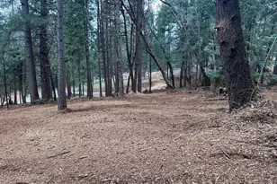 0 Oregon Trail Rd, Georgetown, CA 95634 - Photo 1