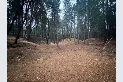 0 Oregon Trail Road, Georgetown, CA 95634 - Photo 8