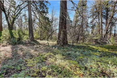 0 Cedar Ridge Drive, Grass Valley, CA 95945 - Photo 16
