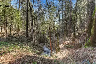 12195 E Bennett Road, Grass Valley, CA 95945 - Photo 6