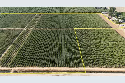 16929 Louise Avenue, Escalon, CA 95320 - Photo 2