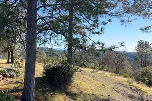 5611 Donkey Ln, Coulterville, CA 95311 - Photo 6