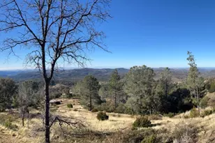 5611 Donkey Ln, Coulterville, CA 95311 - Photo 8