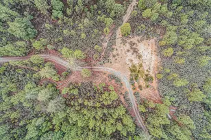 16841 Patterson Mine Rd, Nevada City, CA 95959 - Photo 6