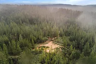 16841 Patterson Mine Rd, Nevada City, CA 95959 - Photo 14