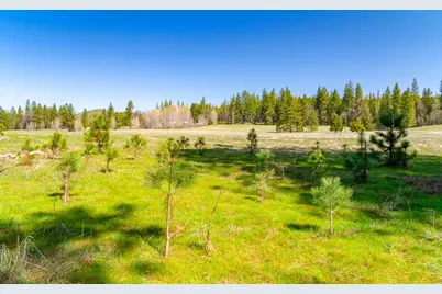 0 Fiske Road, Coulterville, CA 95311 - Photo 24