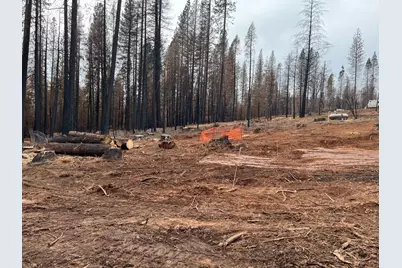 10130 Grizzly Flat Road, Grizzly Flats, CA 95636 - Photo 10
