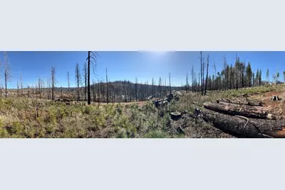 10130 Grizzly Flat Road, Grizzly Flats, CA 95636 - Photo 2